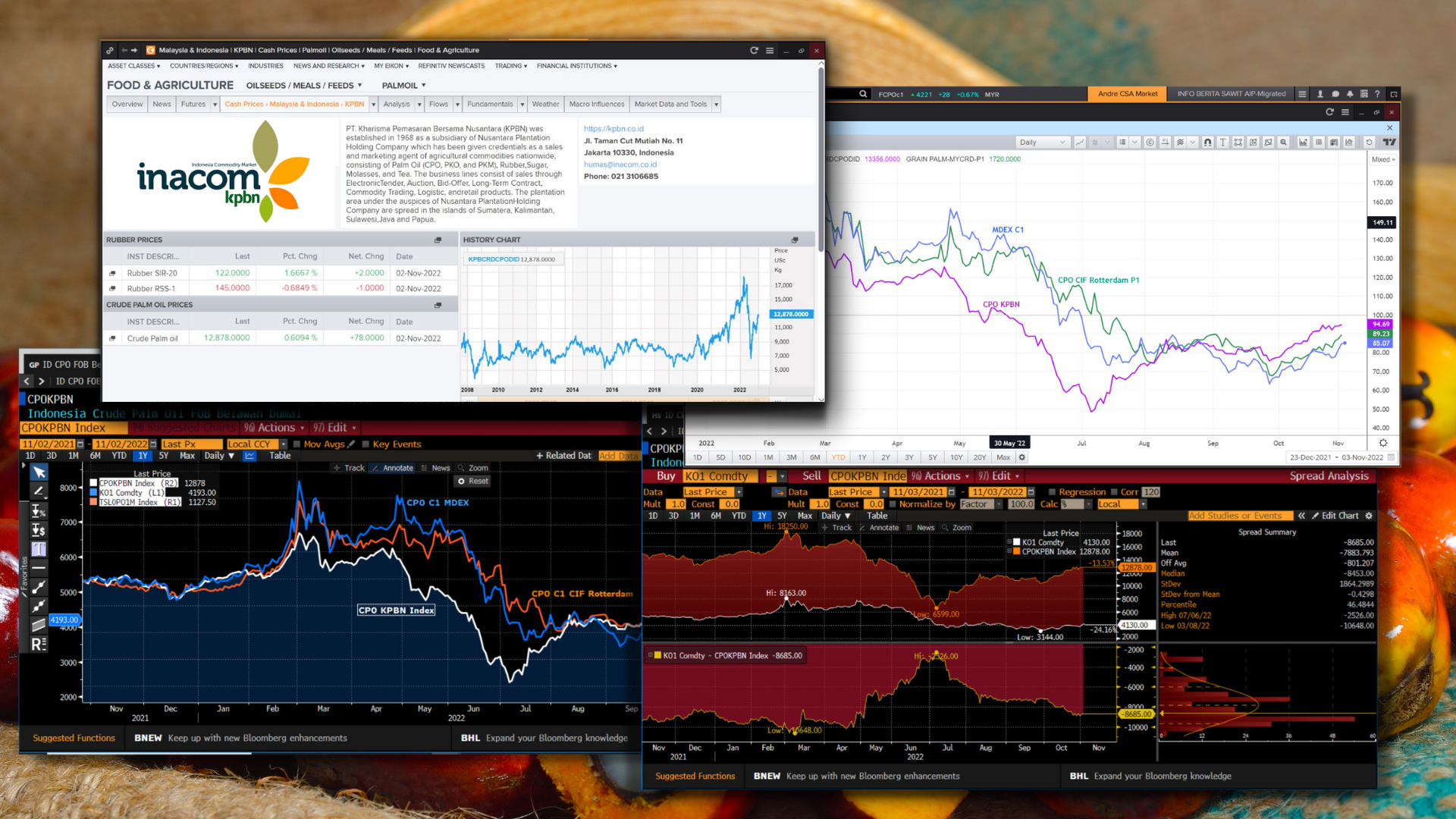 Joining Two International Medias, the KPBN Hopes That Indonesia Will Be Able to Colorize World Palm Oil Prices